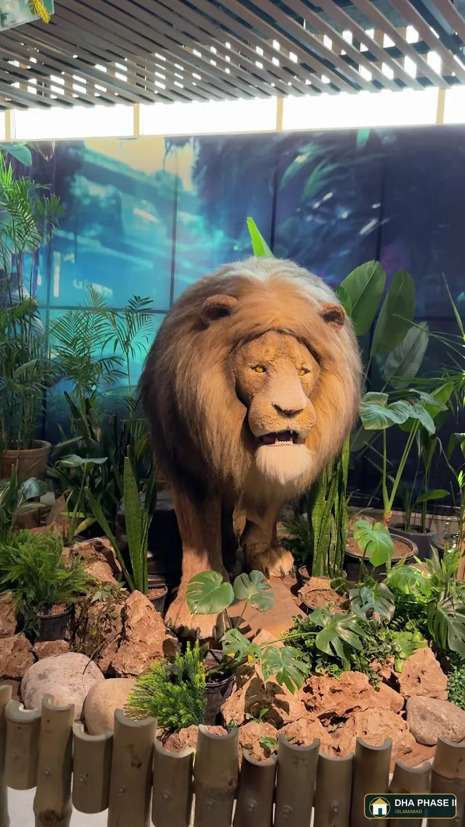 Jungle Story By Monal Group in DHA Phase II Islamabad — photo 4