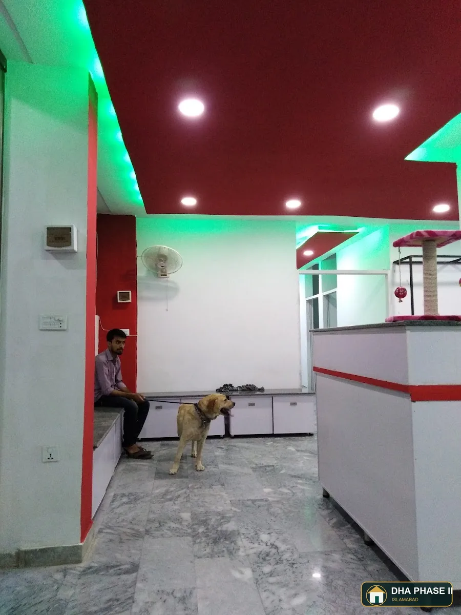 Pet & Pat Clinic in DHA Phase II Islamabad